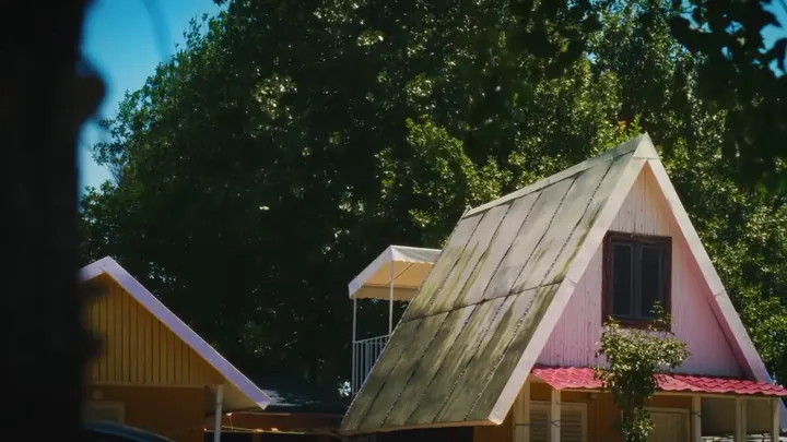 A pink house under the trees